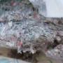 blown-in_interior_insulation_using_capillary-active_insulation_material_08.jpg