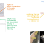 fig_21_window_installation_detail.png