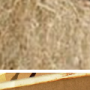 wood_products.png